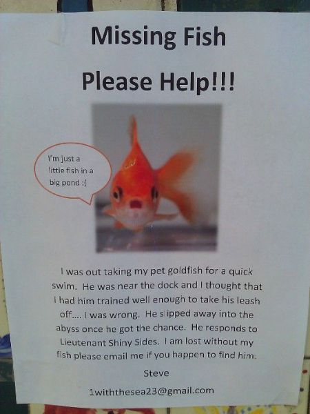 Morning Picdump