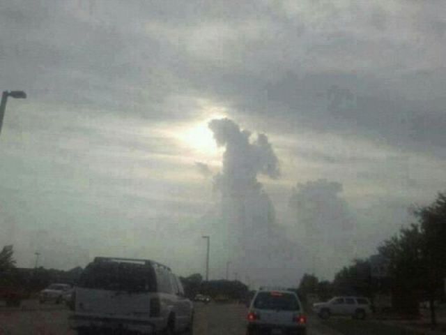 Morning Picdump
