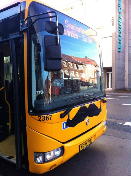 Morning Picdump