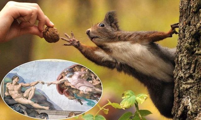 Morning Picdump