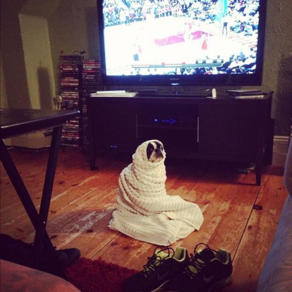 Morning Picdump