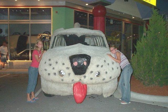 Daily Picdump