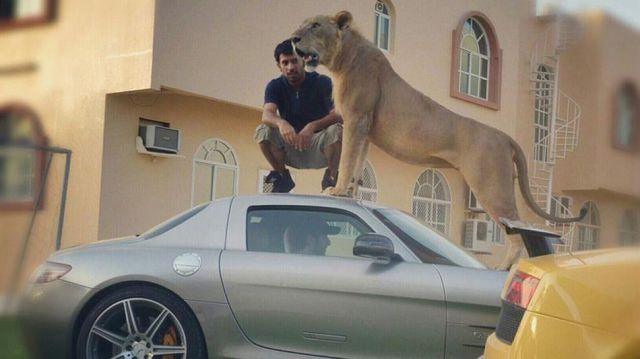 Daily Picdump
