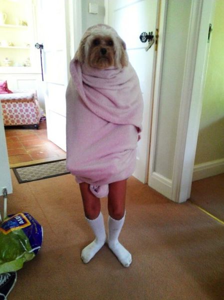 Morning Picdump