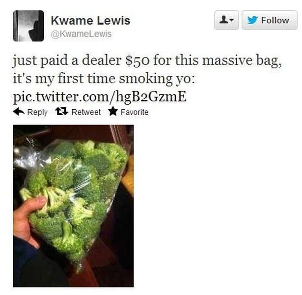 Morning Picdump
