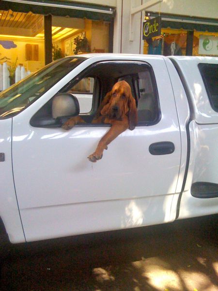 Morning Picdump