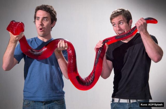 Ginormous Jelly Snake!