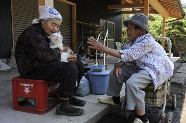 Special Friends: Granny and Her Cat