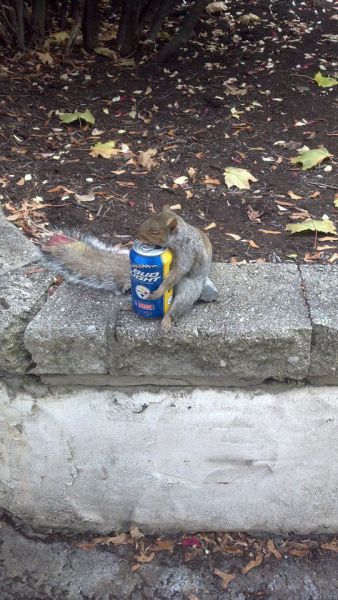 Daily Picdump [WEEKEND EDITION]