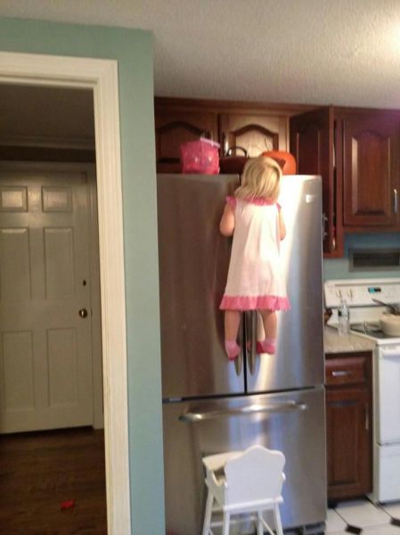 Daily Picdump [WEEKEND EDITION]