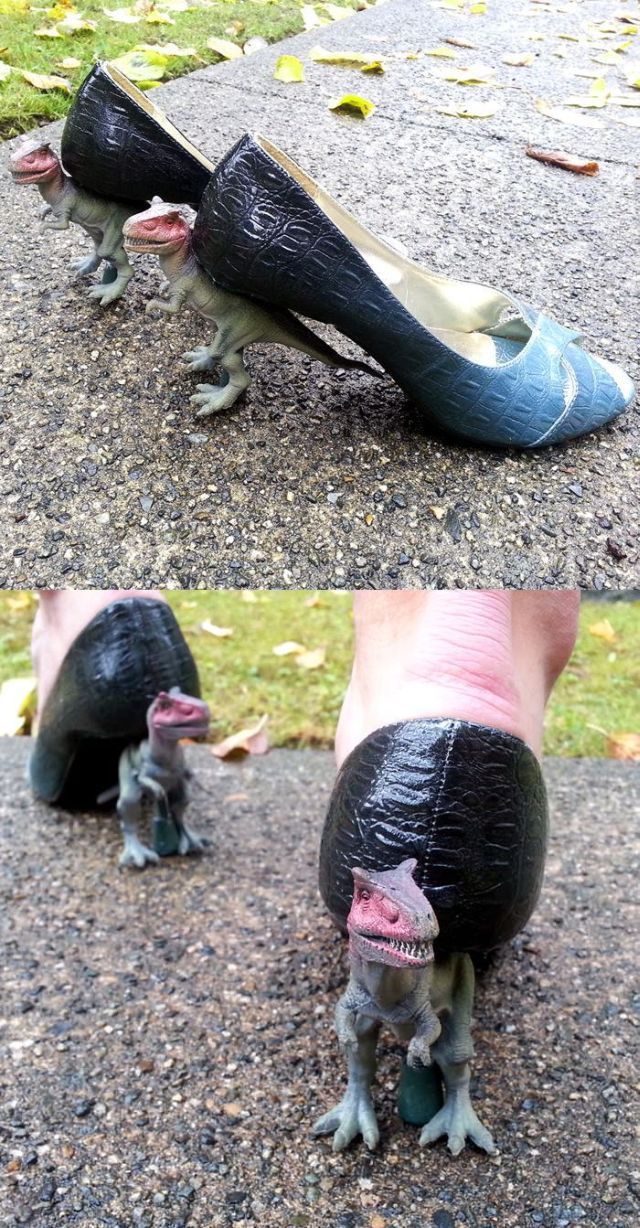 Daily Picdump [WEEKEND EDITION]