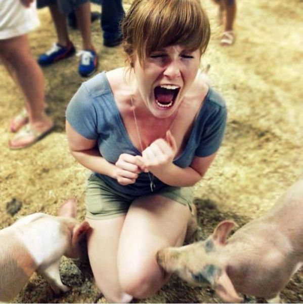 Daily Picdump