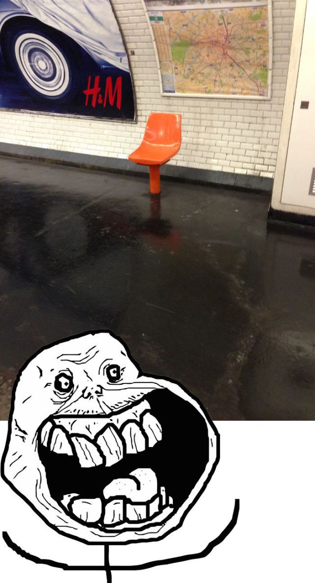 Daily Picdump