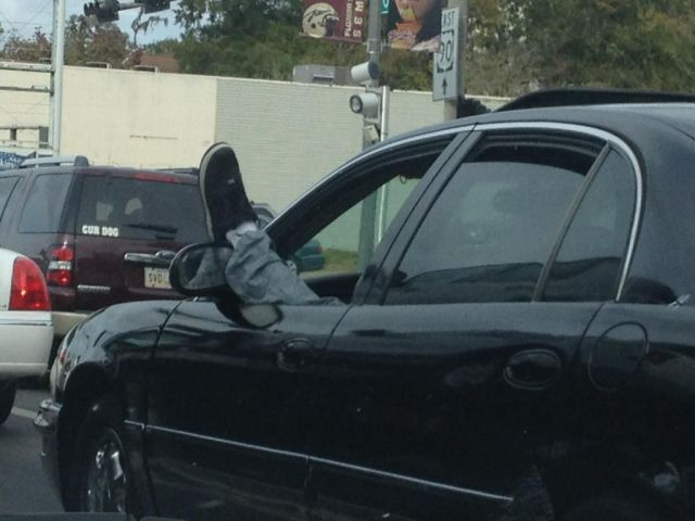 Morning Picdump