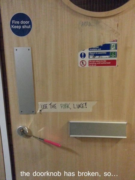 Morning Picdump