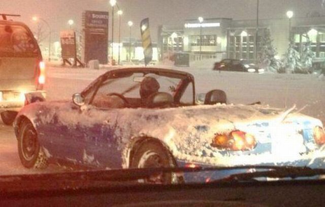 Morning Picdump