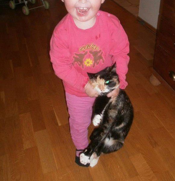 Morning Picdump