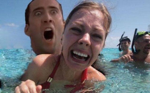 Morning Picdump