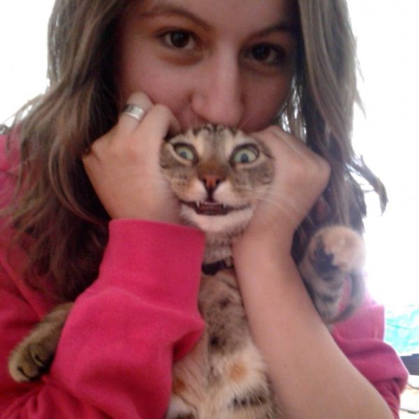 Morning Picdump