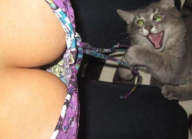 Morning Picdump