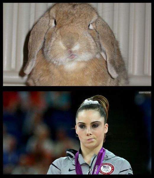 Morning Picdump