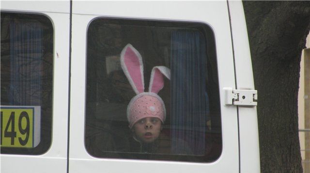 Daily Picdump