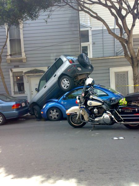 Daily Picdump