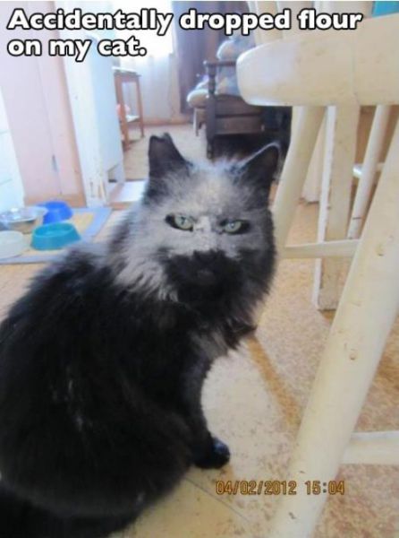 Morning Picdump