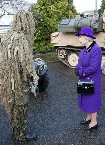 Morning Picdump