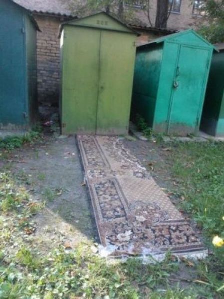 Morning Picdump