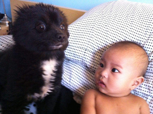 Morning Picdump