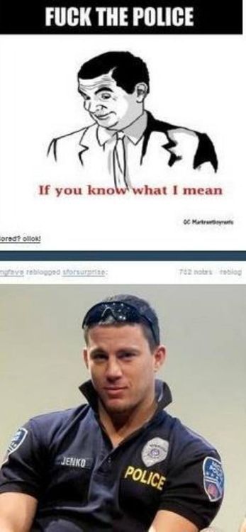 Morning Picdump