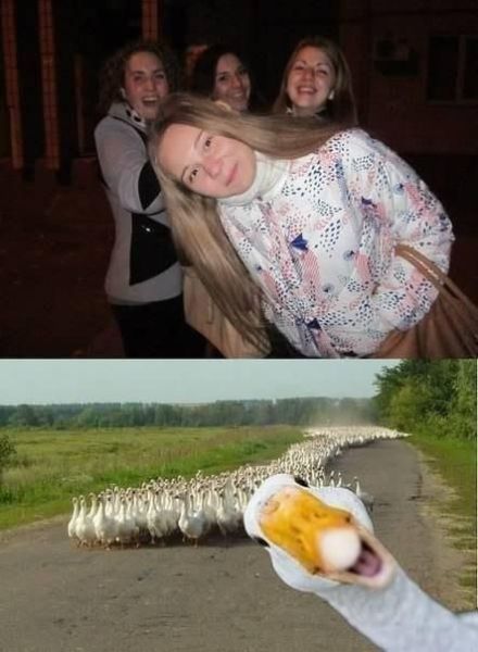 Daily Picdump