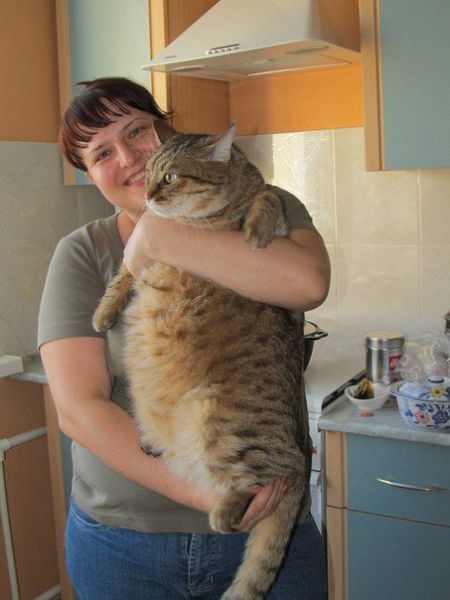 Daily Picdump