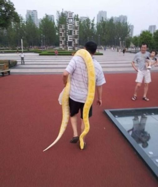 Daily Picdump