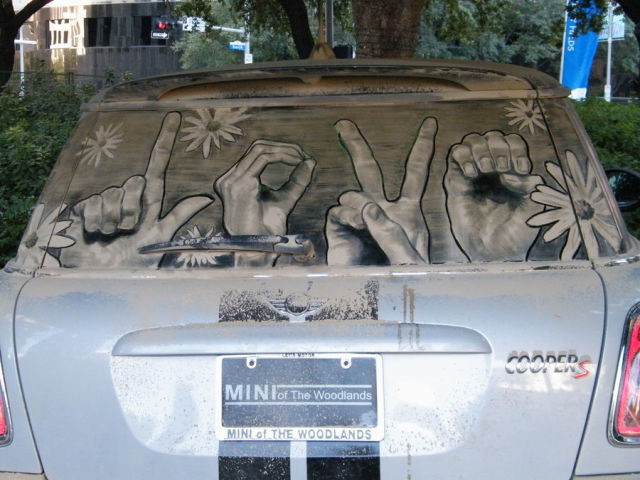 Morning Picdump