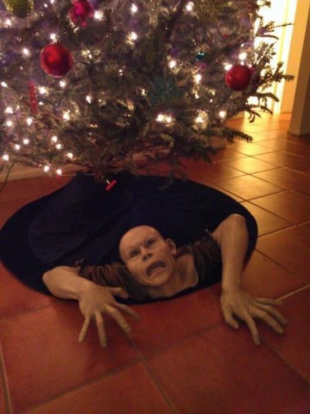 Morning Picdump