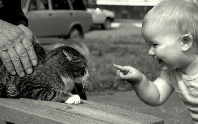 Daily Picdump Daily Picdump
