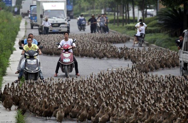 Daily Picdump Daily Picdump