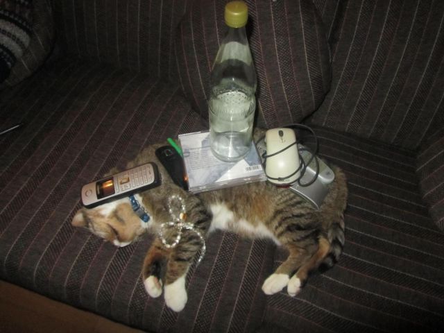 Daily Picdump Daily Picdump