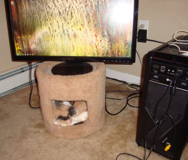 Daily Picdump Daily Picdump