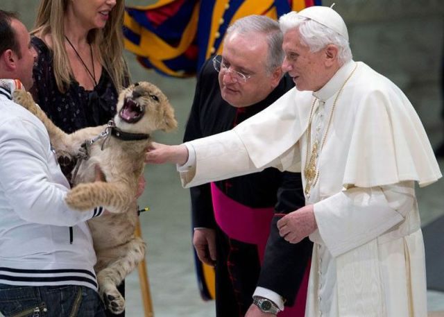 Daily Picdump