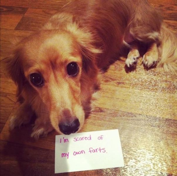 Daily Picdump
