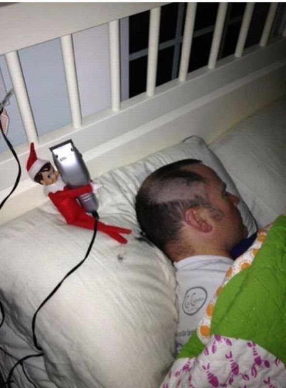 Morning Picdump