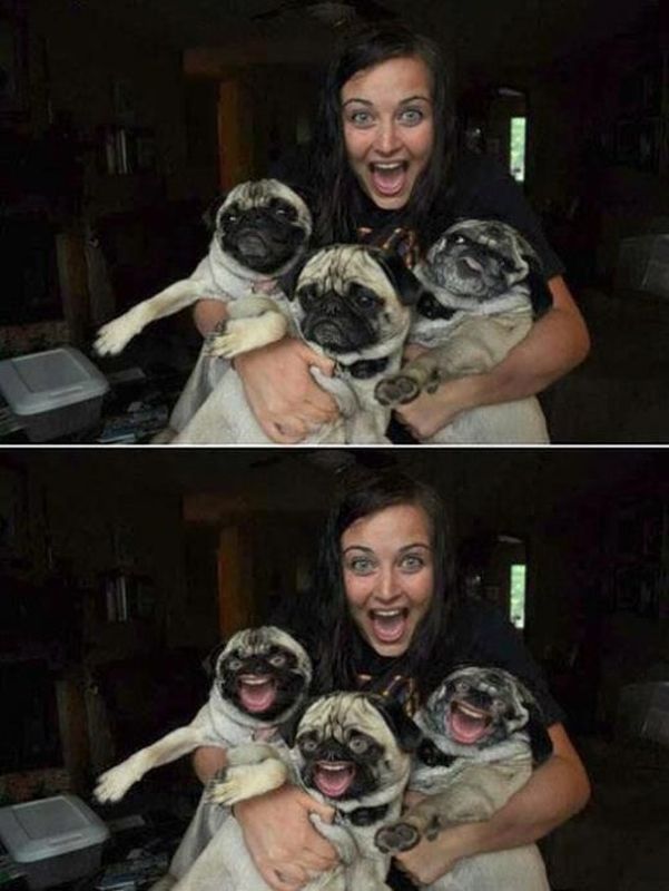 Morning Picdump