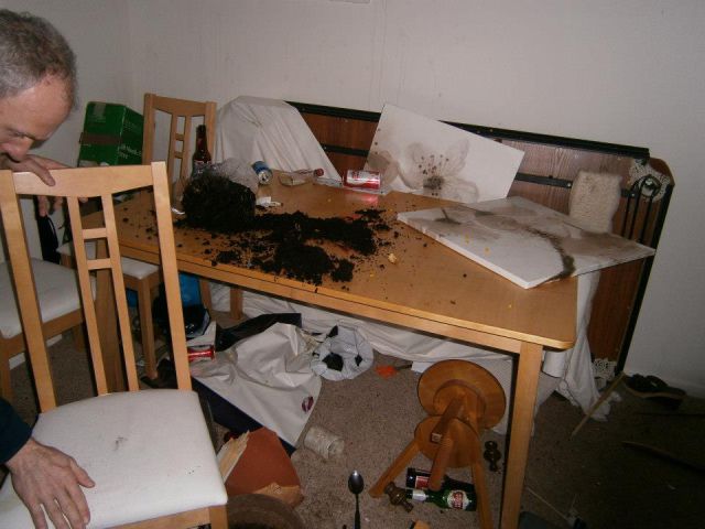 College House Party After-effects