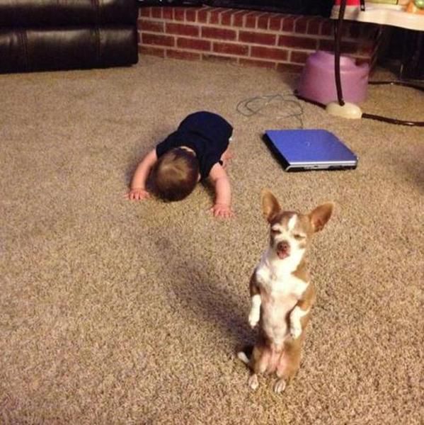 Morning Picdump