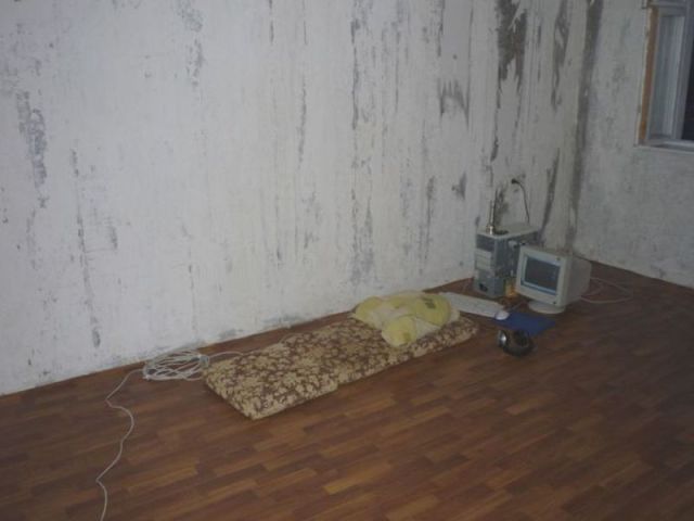 Morning Picdump