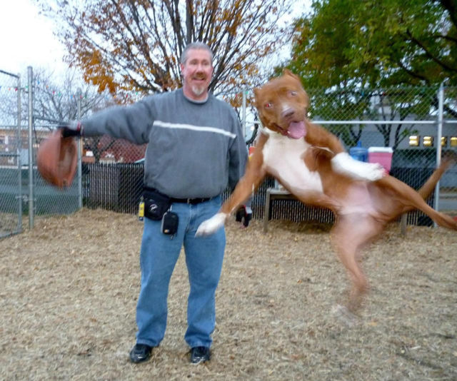 Morning Picdump