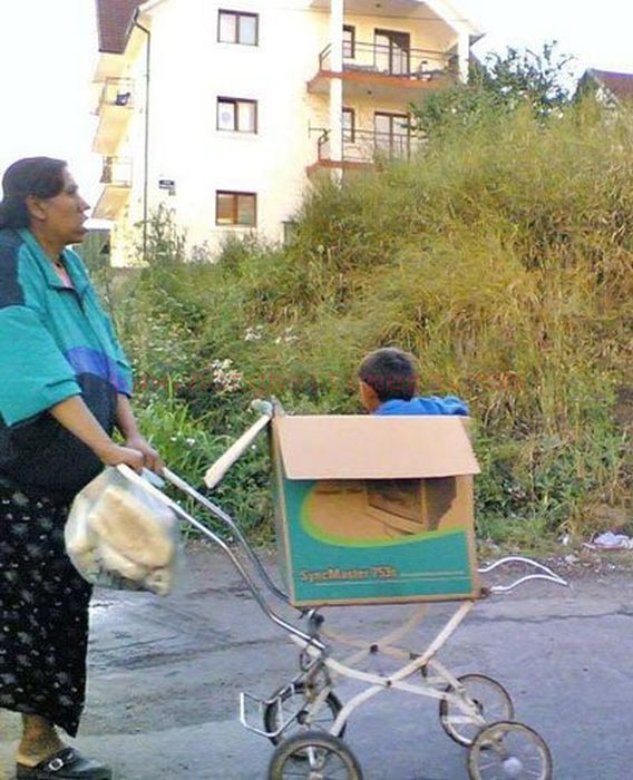 Morning Picdump